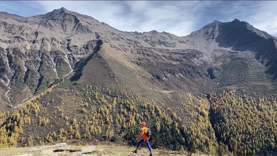 近期图文推广便捷化搭建您的网络平台:电商运营与内容测试的高效工具金秀贤拍的金赛纶睡觉照片